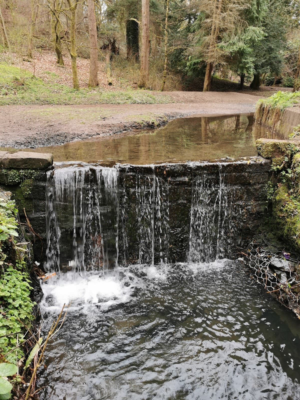 Cambuslang Public Park - Image 3