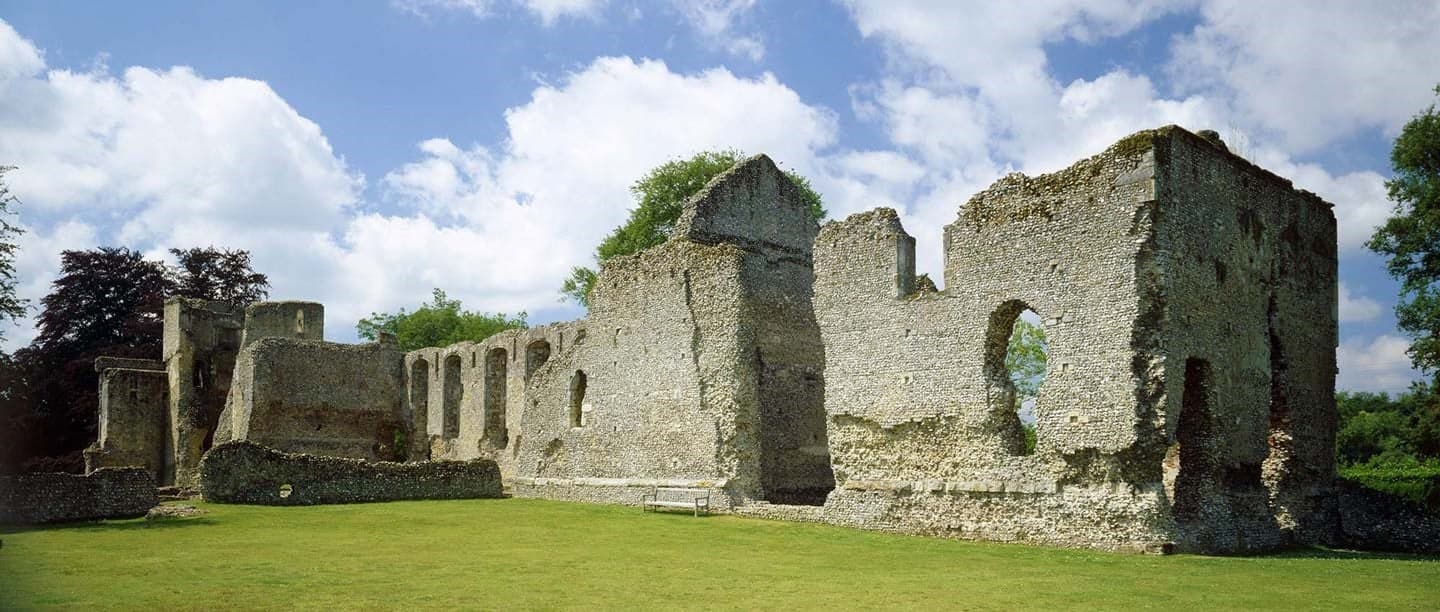Bishop's Waltham Palace - Image 1