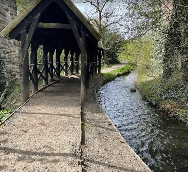 Almondell and Calder Wood Country Park - Image 2