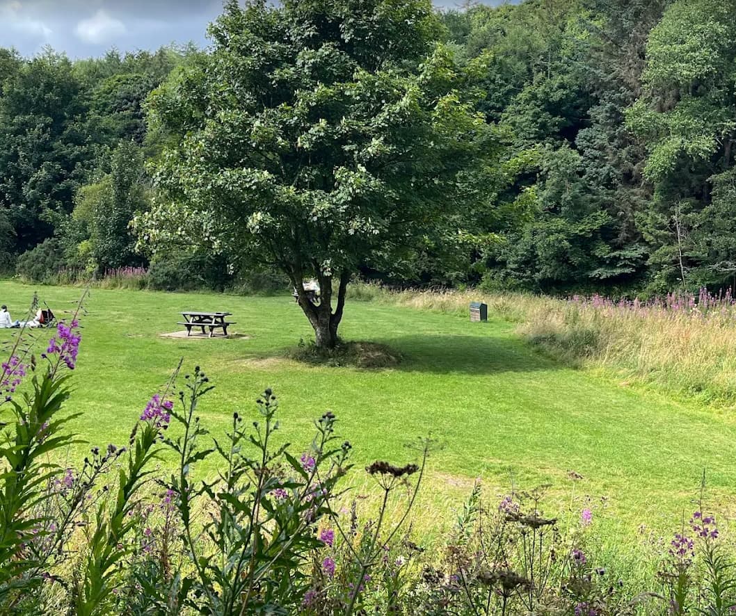 Almondell and Calder Wood Country Park - Image 4