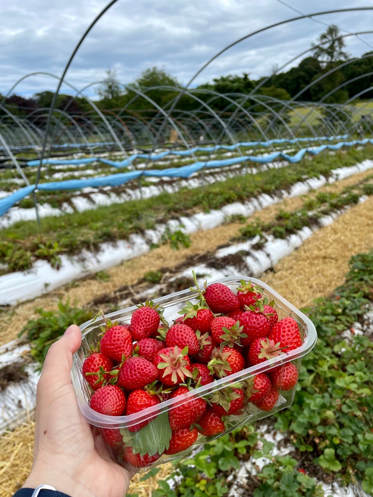 Charleton Farm - Image 2