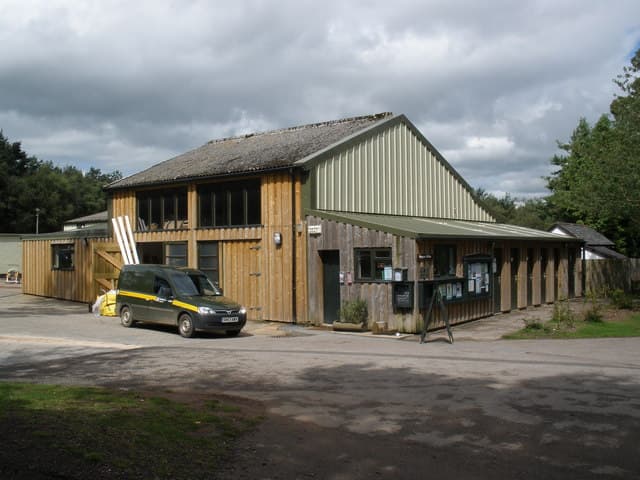 Haldon Forest Park - Forestry England - Main view
