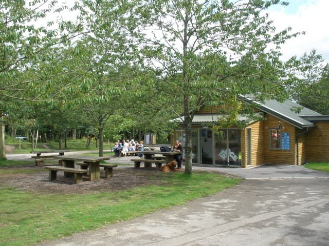 Haldon Forest Park - Forestry England - Image 3