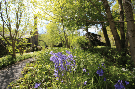 Stott Park Bobbin Mill - Image 2