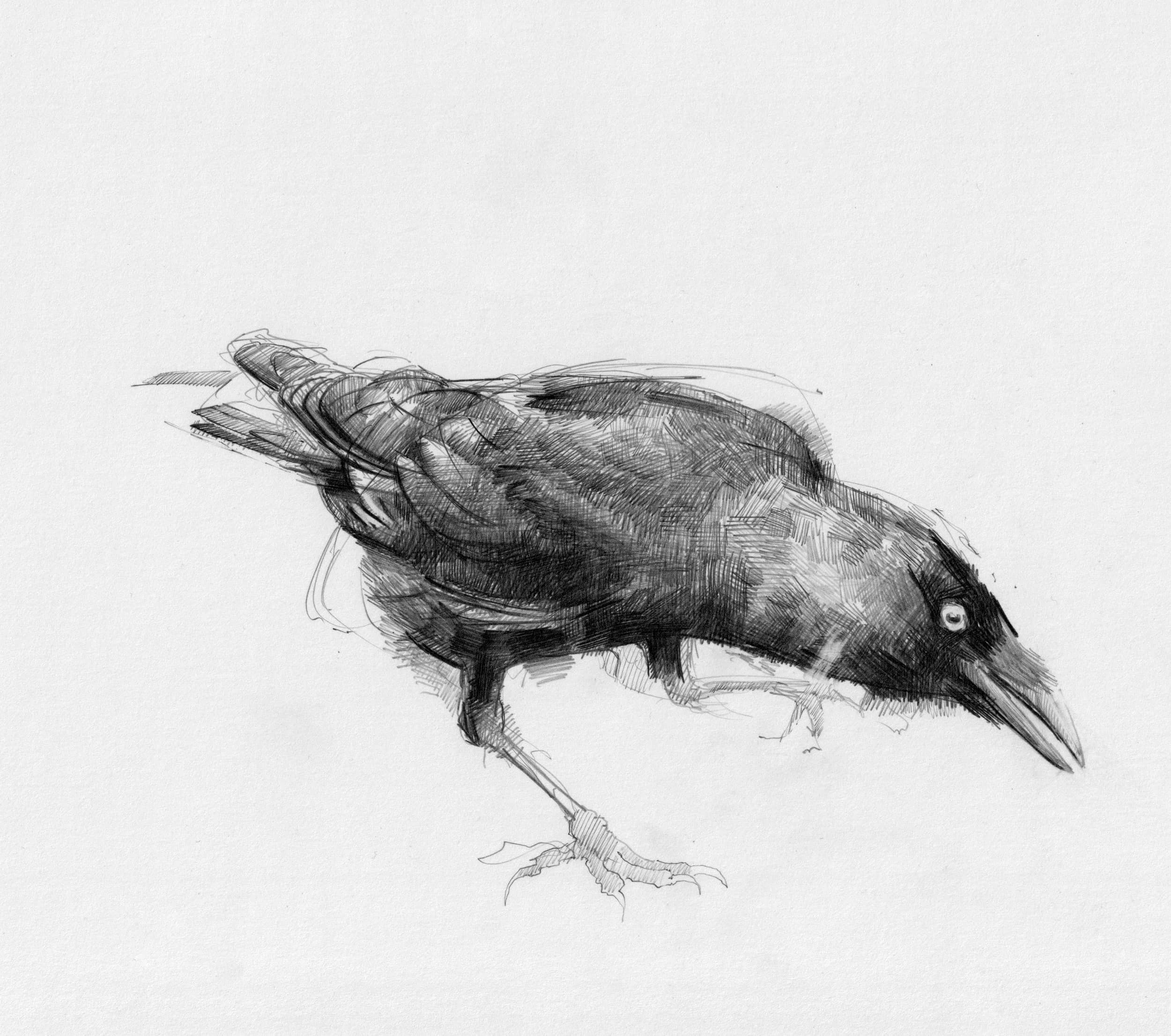 Ilminster Arts Centre - Image 2