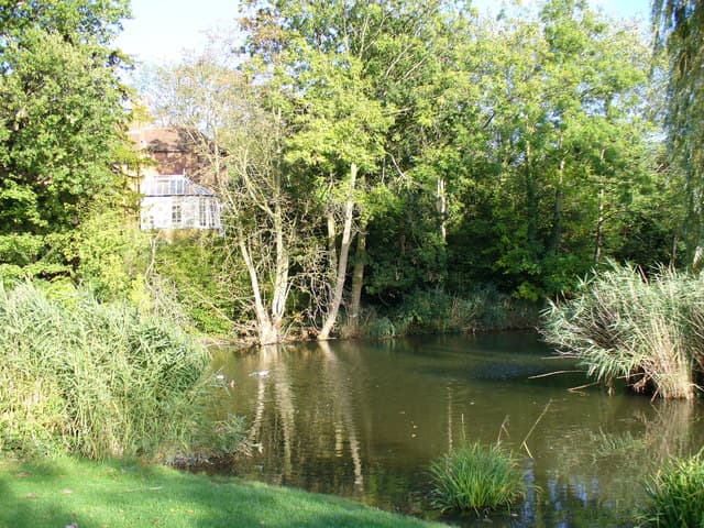 Fishponds Park - Main view