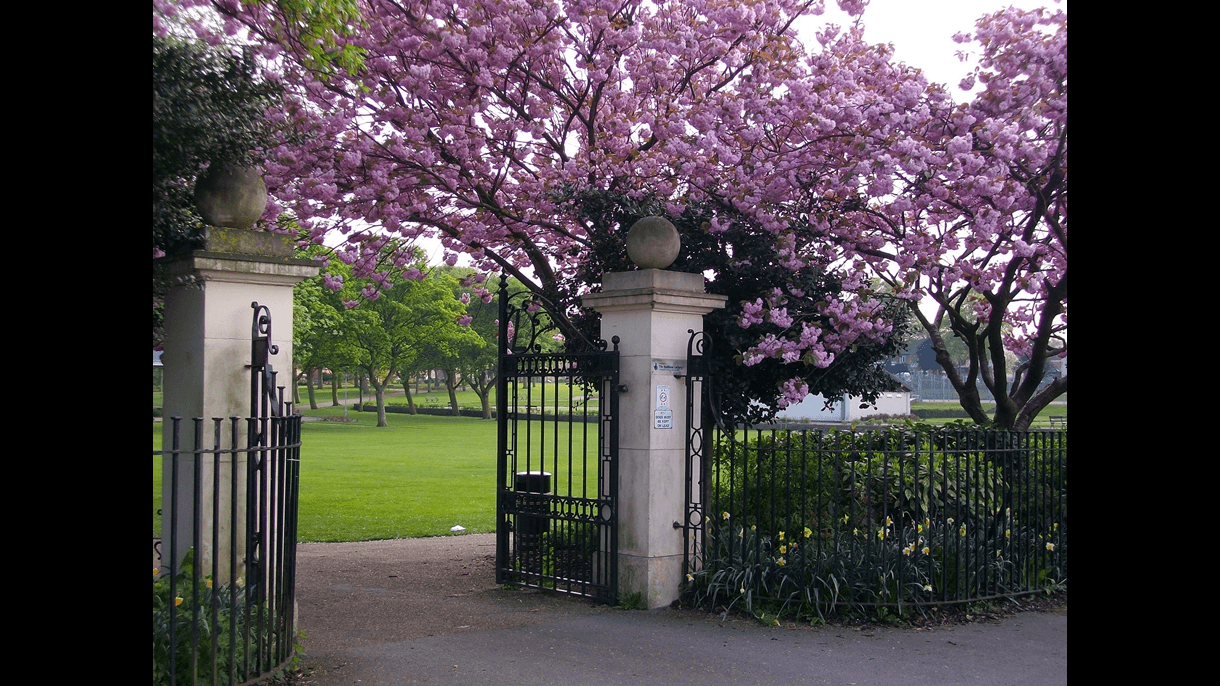 Maurice Lea Memorial Park - Main view