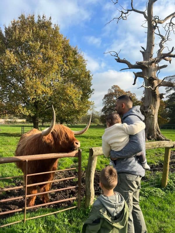 Home Farm Attingham - Image 3