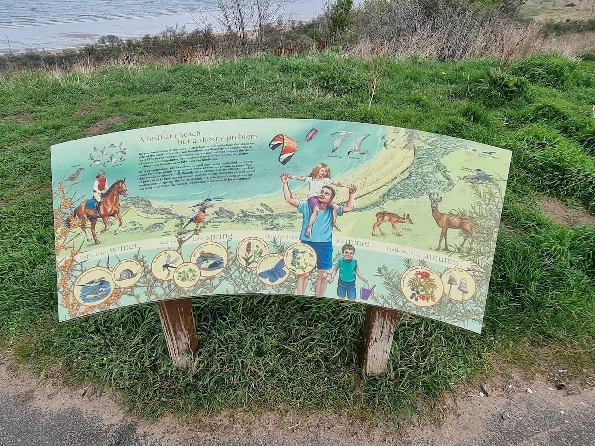 Gullane Beach - Image 4