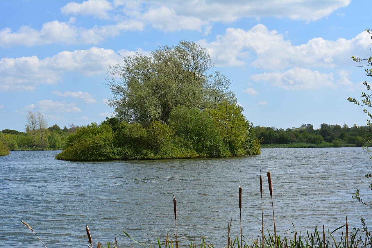Craigavon City Park - Image 1