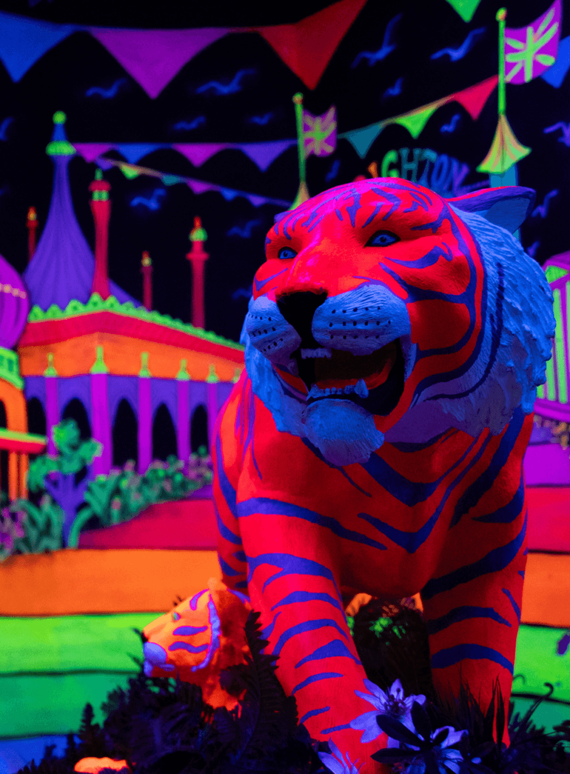 GLOBALLS - UV Mini Golf & Games - Main view