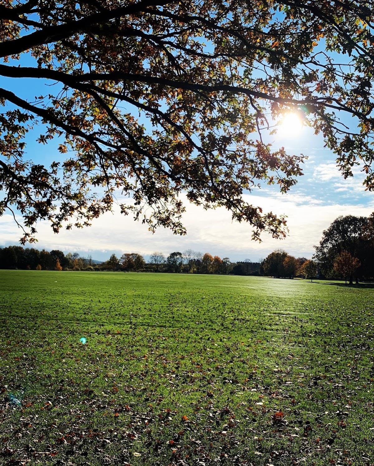 Bedgrove Park - Image 2