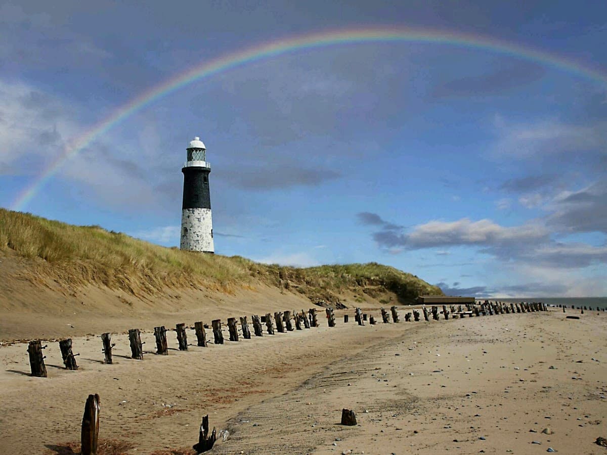 Spurn National Nature Reserve - Main view