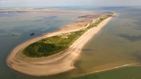 Spurn National Nature Reserve - Image 2