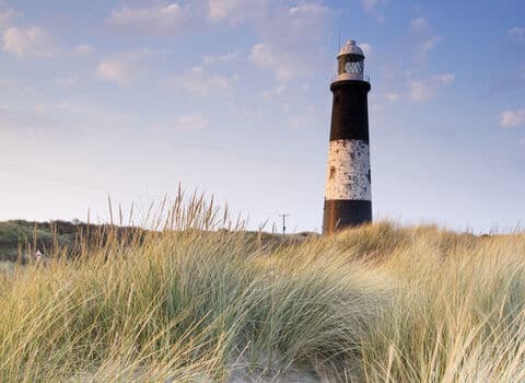 Spurn National Nature Reserve - Image 3