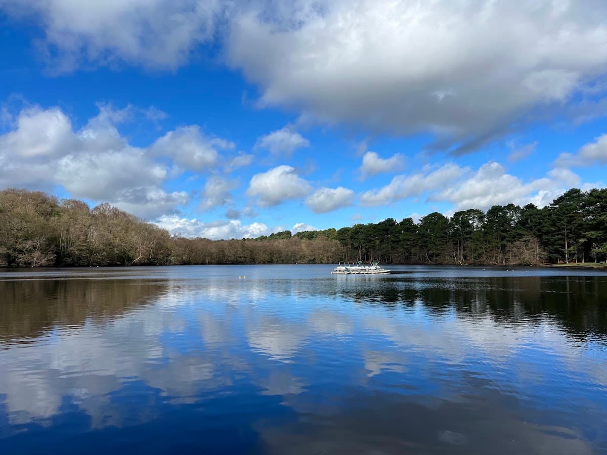 Sutton Park - Image 1