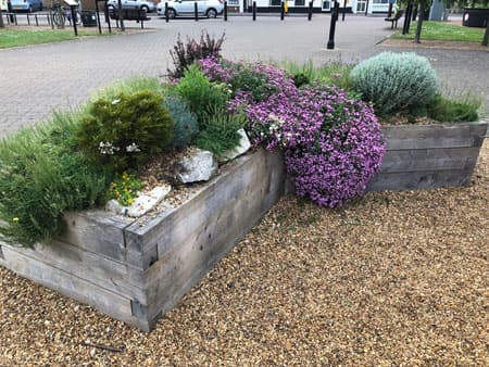 Jubilee Gardens - Image 2