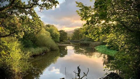 Llyn Celanedd North Wales Wildlife Trust Nature Reserve - Image 4