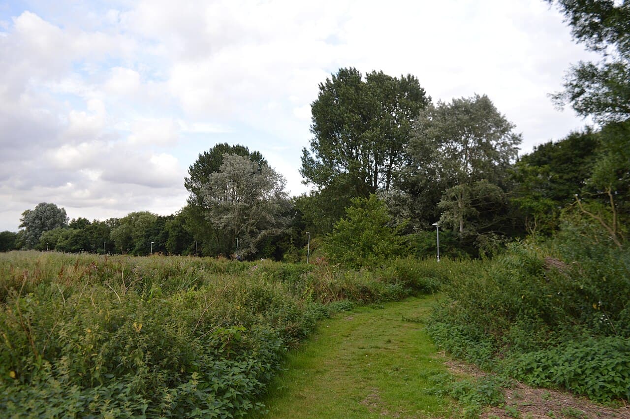 Chelmer Park - Image 2