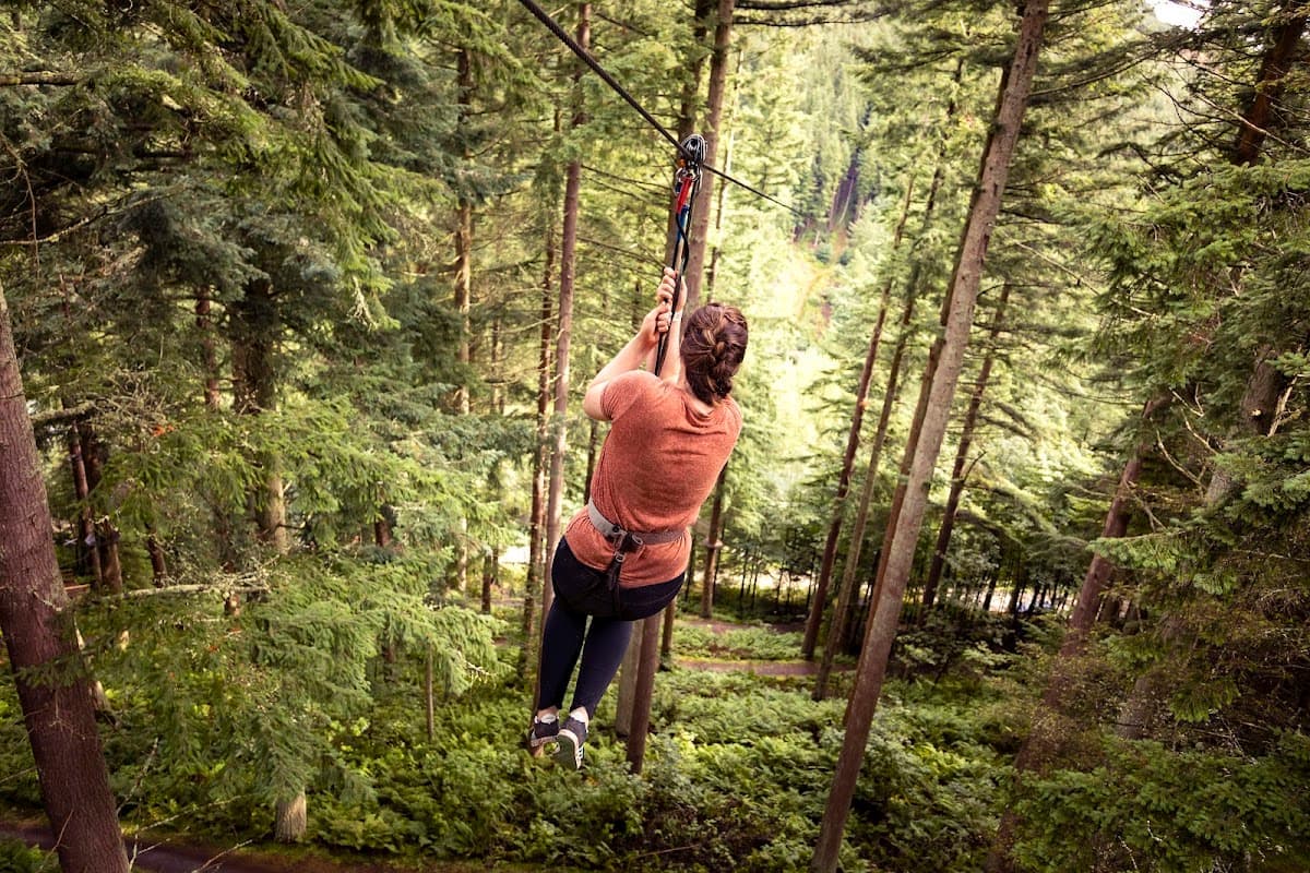 Go Ape Peebles, Glentress Forest - Image 2
