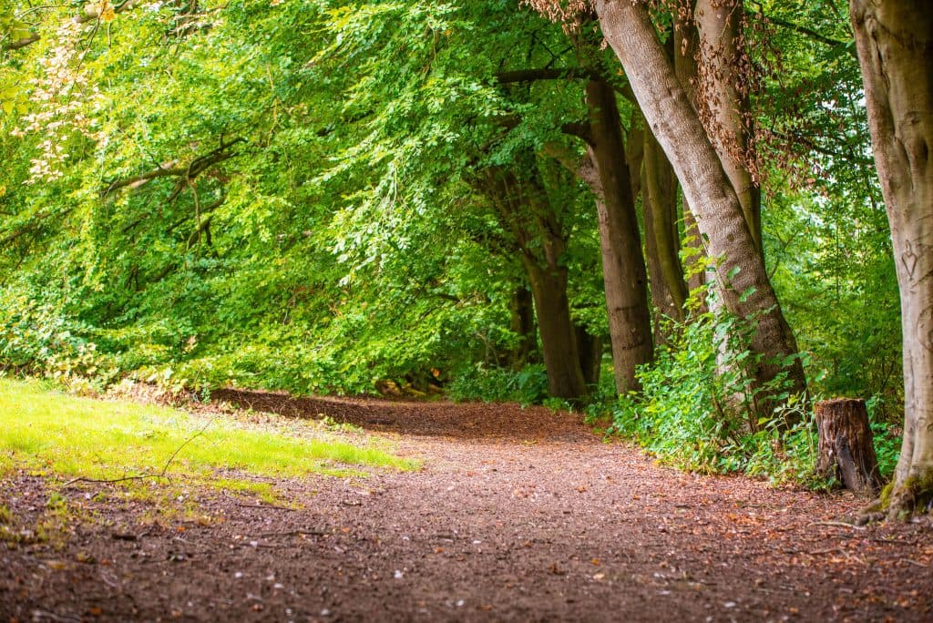Hubbard's Hills - Image 3