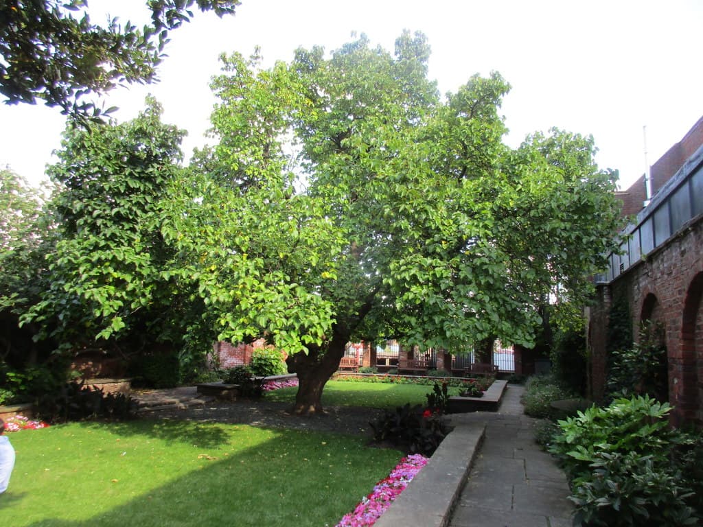 Wilberforce House - Image 3