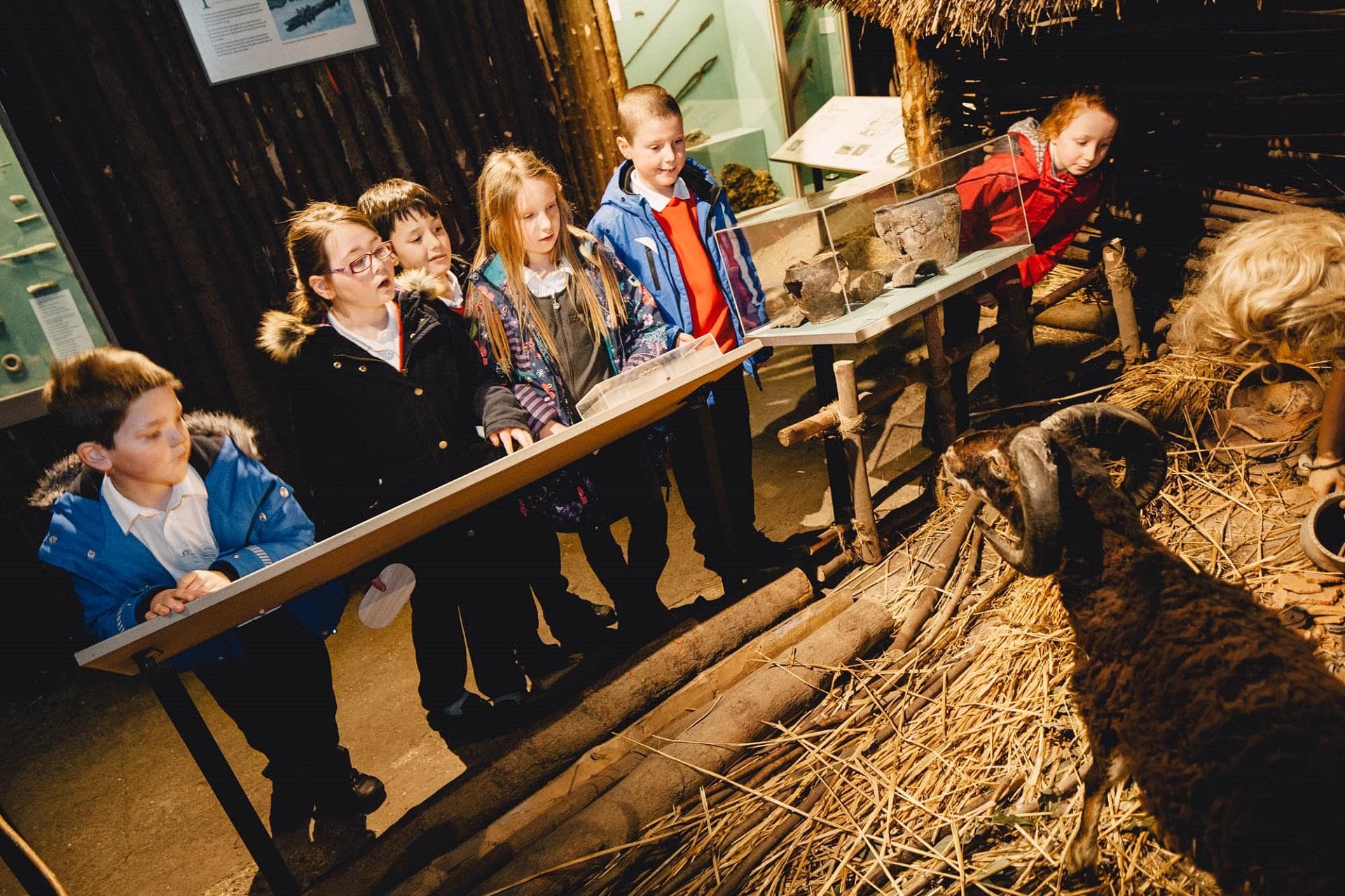 Hull & East Riding Archaeology Museum - Image 5