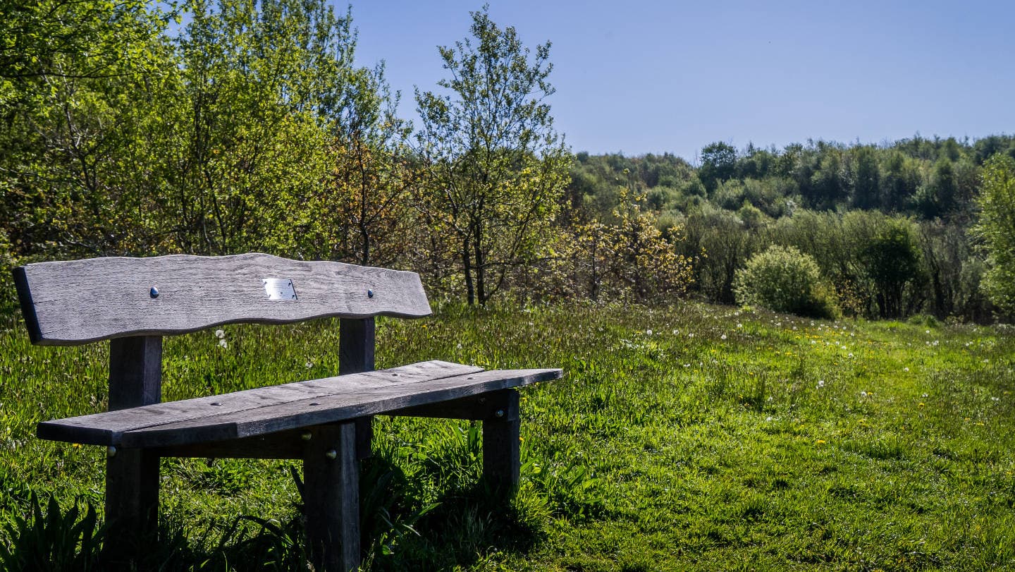 How Tun Woods - Image 1