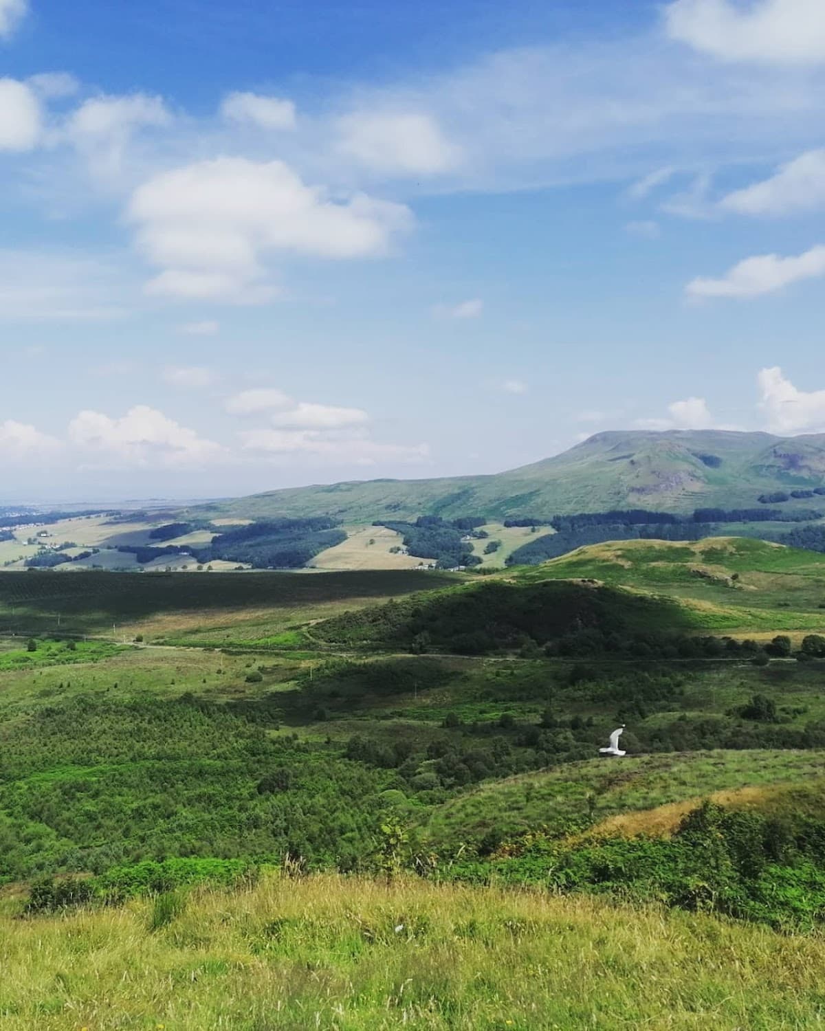 The Whangie - Image 2