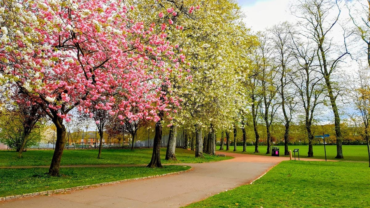 Victoria Park - Image 2