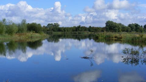 Deeping Lakes Nature Reserve - Image 3