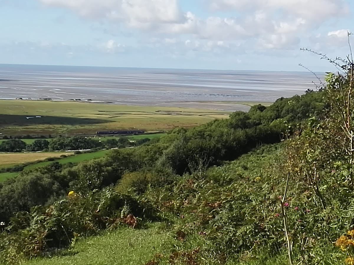 Warton Crag Local Nature Reserve - Main view