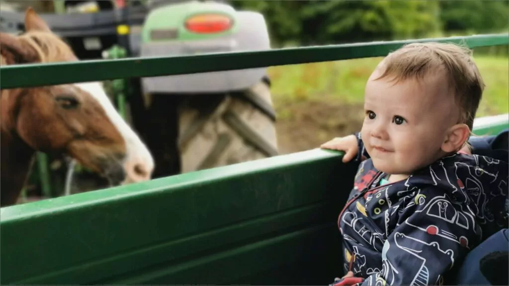 Smithills Open Farm - Image 2