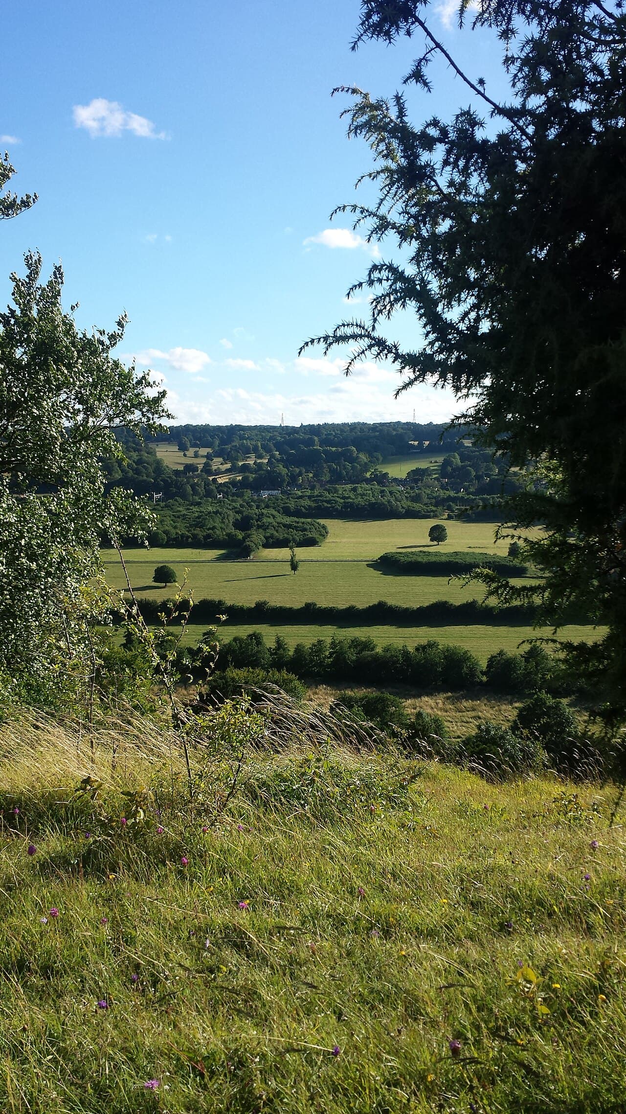 Hartslock - Image 4