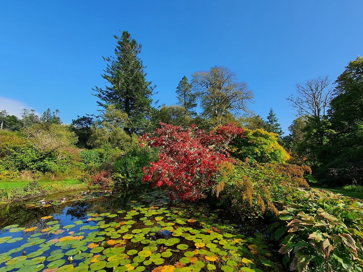 Armadale Castle, Gardens & Museum - Image 3