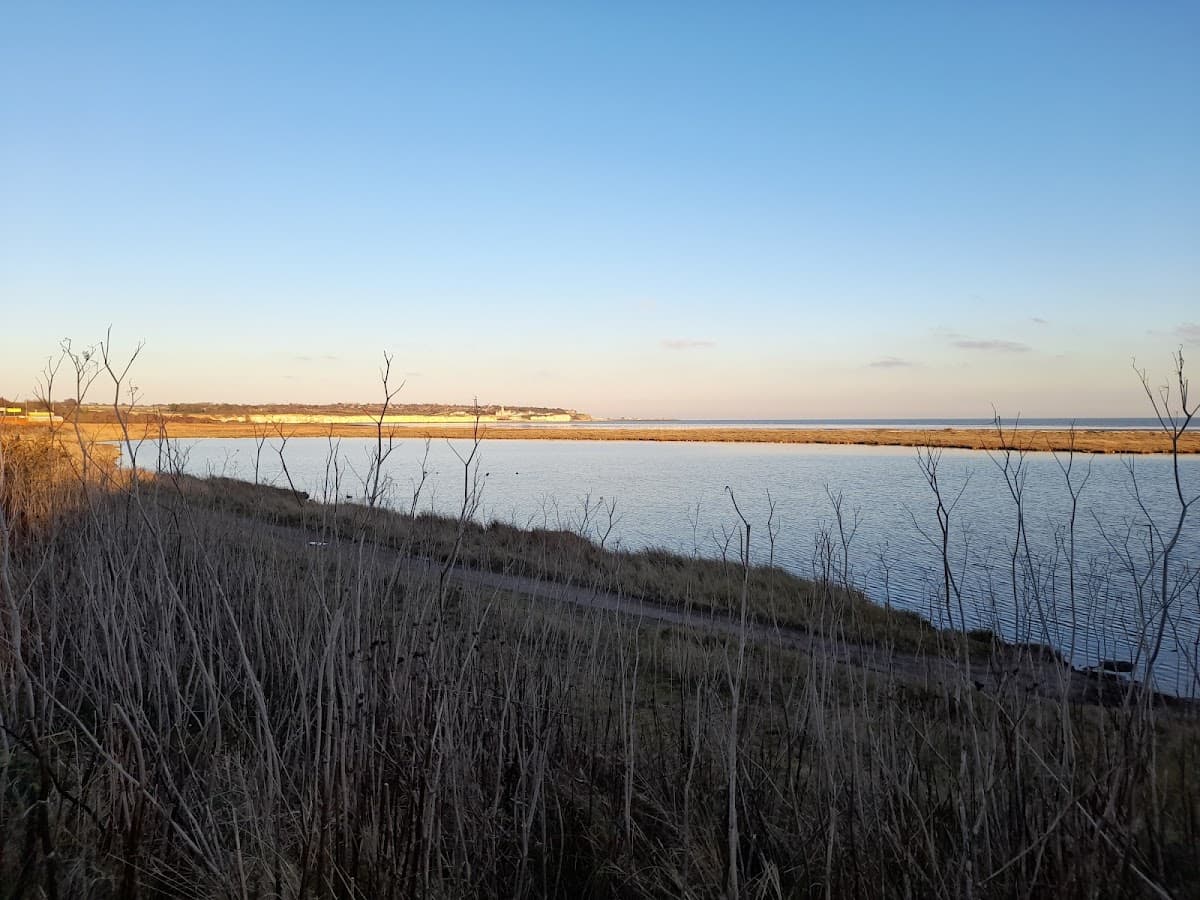 Pegwell Bay Country Park - Image 2