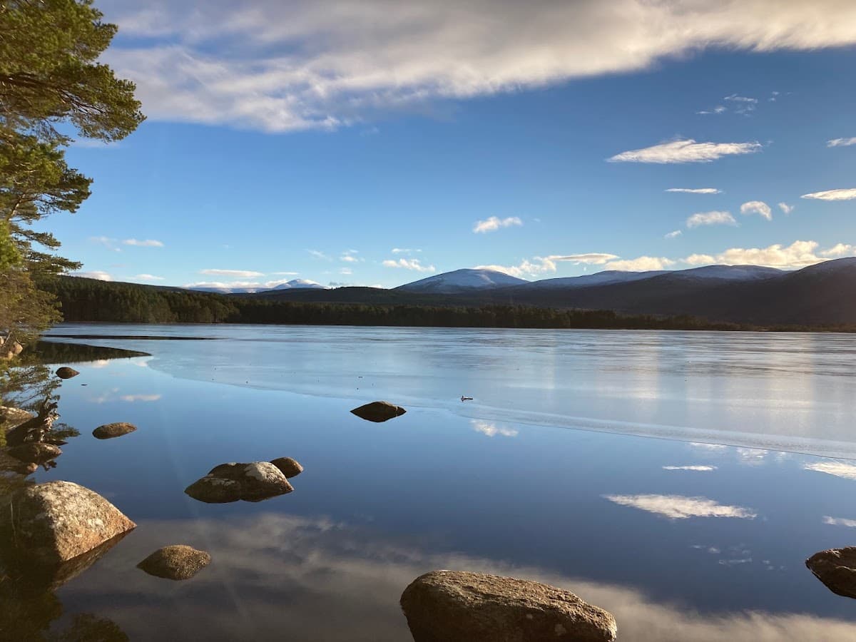 Loch Garten - Main view