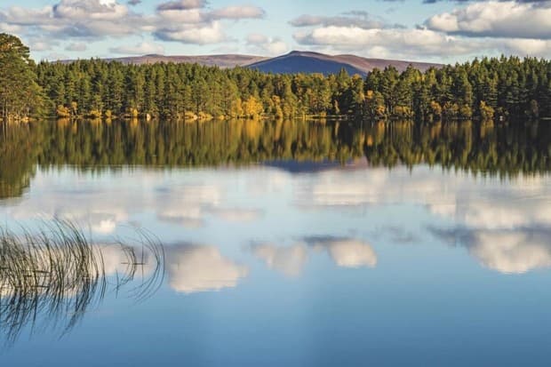 Loch Garten - Image 2