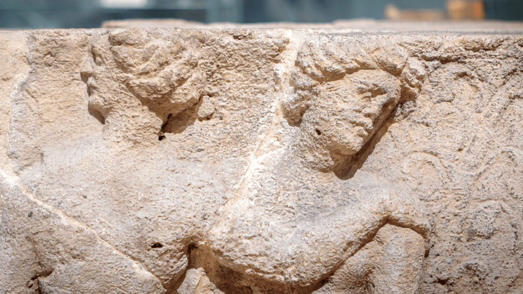 The Novium Museum - Image 1