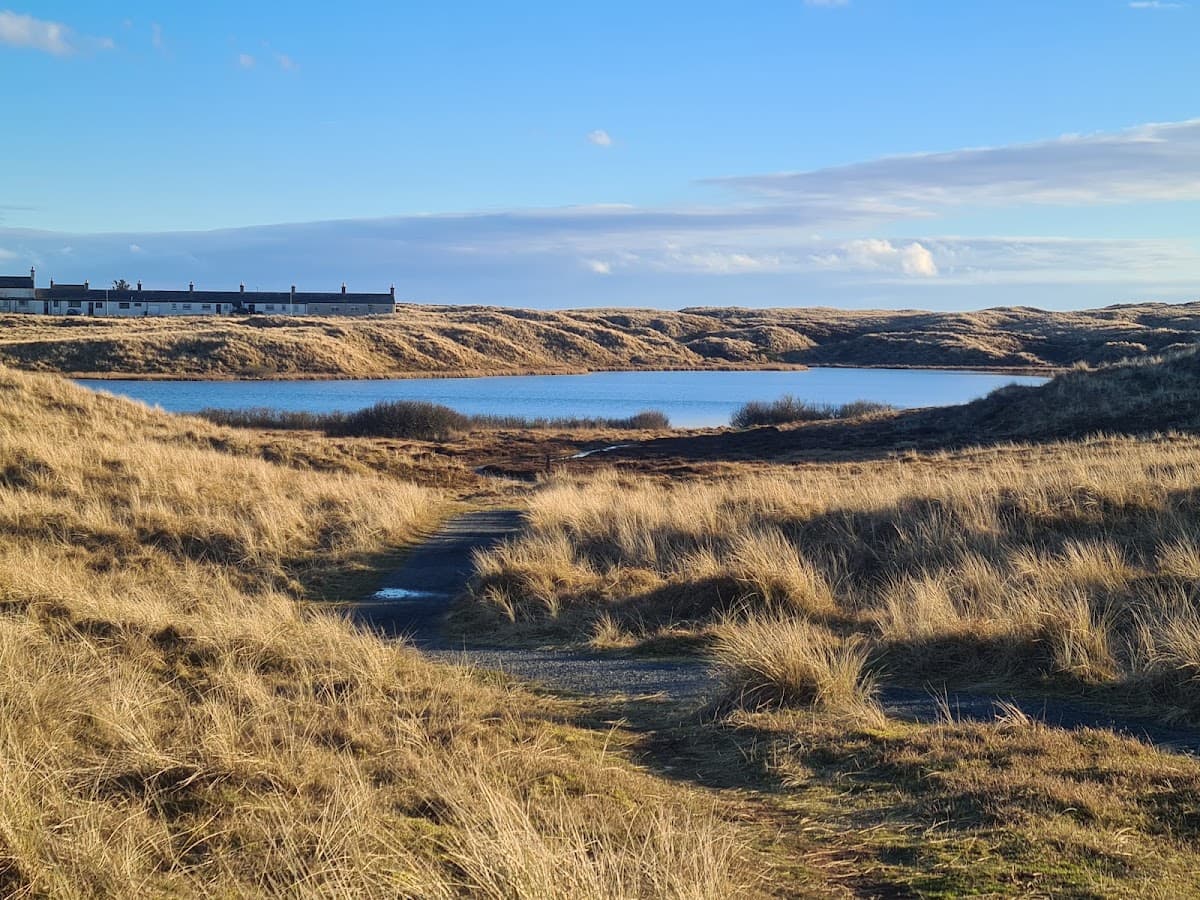 Forvie National Nature Reserve - Image 2