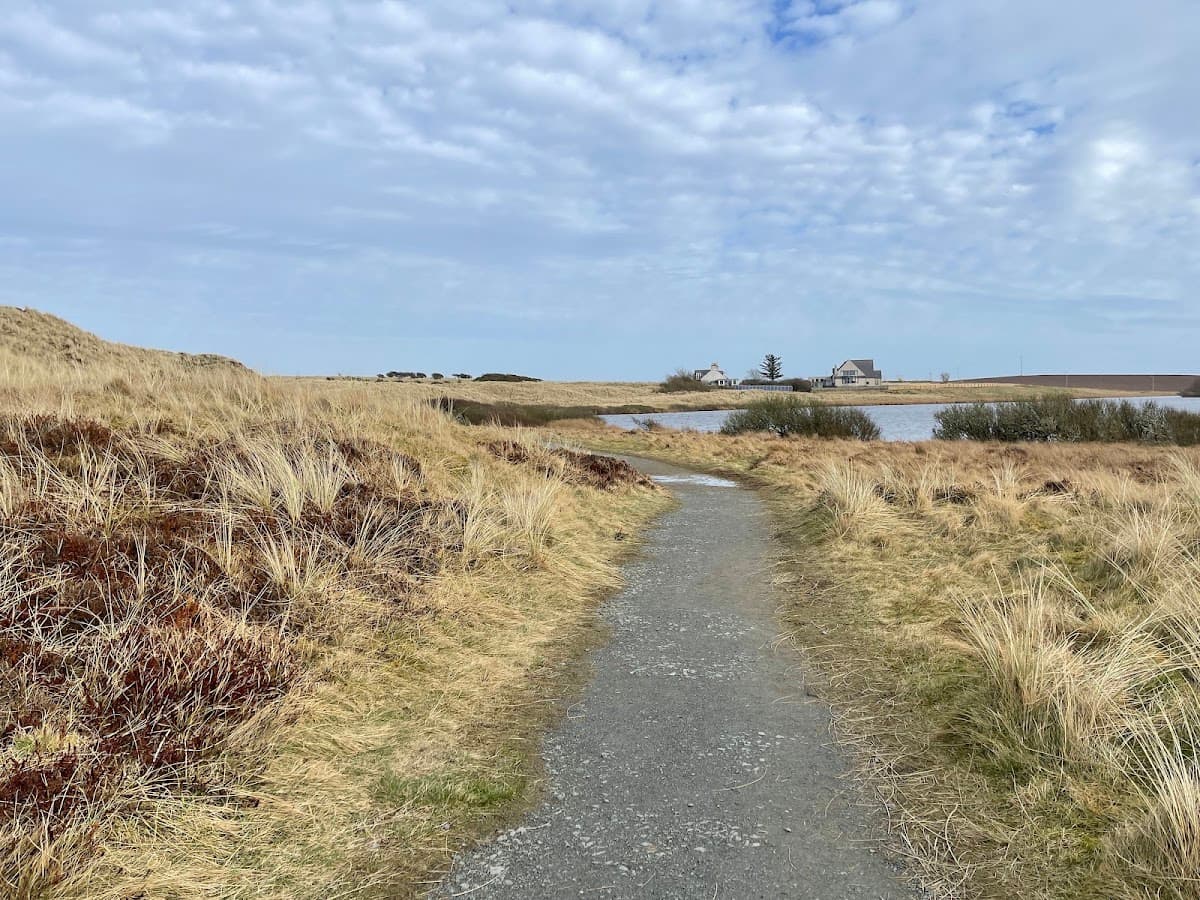 Forvie National Nature Reserve - Image 3