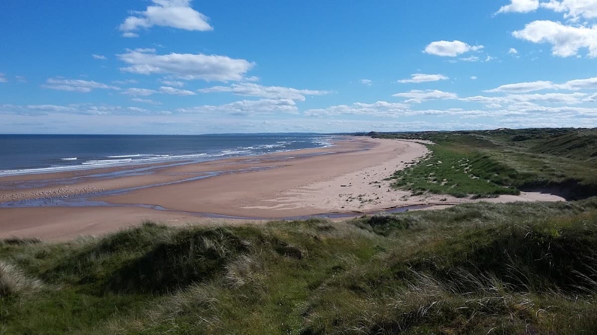 Forvie National Nature Reserve - Image 4