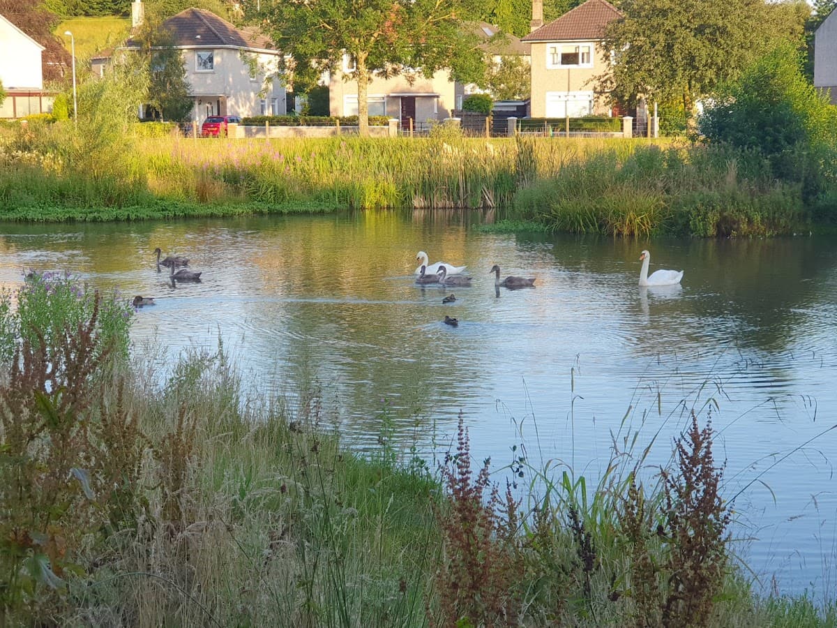 Colquhoun Park - Image 3