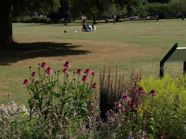 Courtenay Park - Image 1