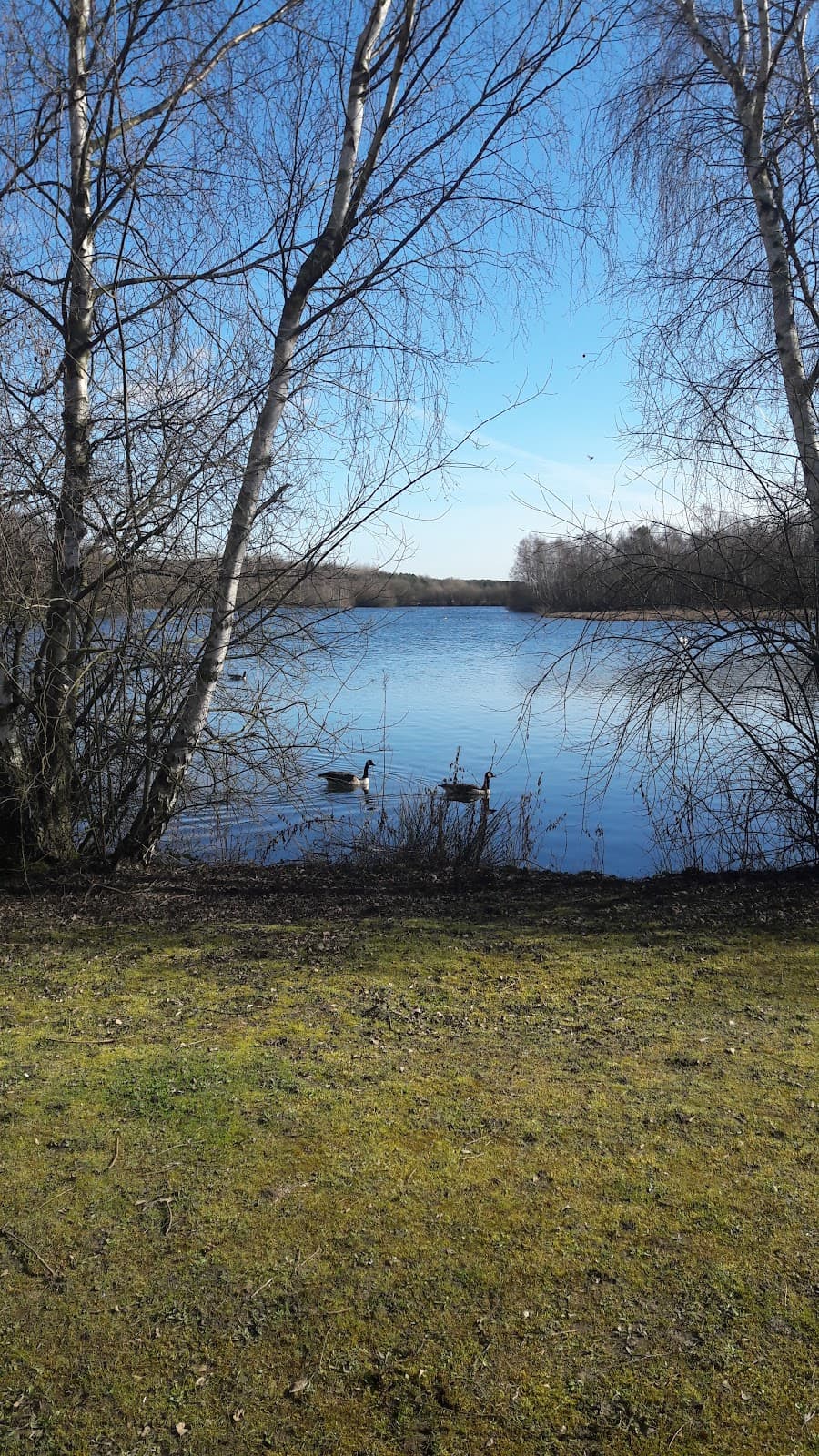 Daneshill Lakes - Image 2
