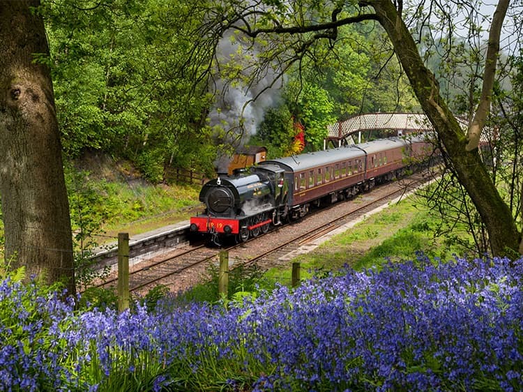 Bo'ness & Kinneil Railway - Image 2