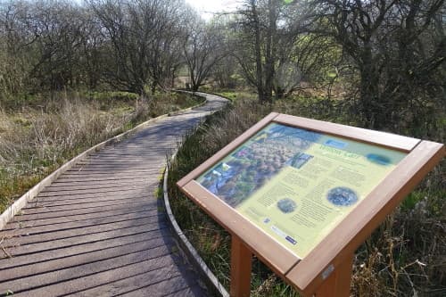 Dubwath Silver Meadows Nature Reserve - Main view