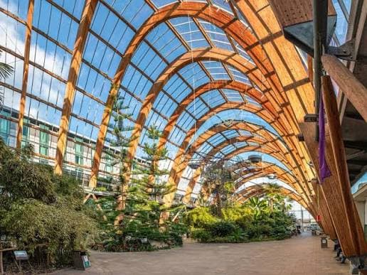Winter Garden - Image 1