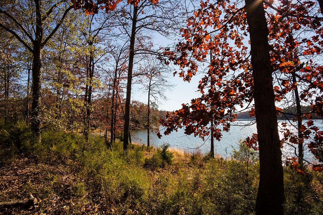 Russell Park - Main view