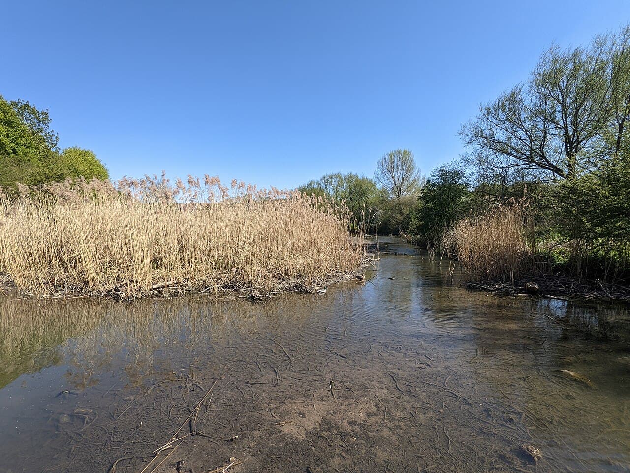 Three Brooks Local Nature Reserve - Image 1